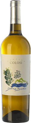 Colosi