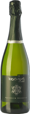 Còsmic Paciència Cariñena — 佳丽酿 Ancestral — 古法 75 cl