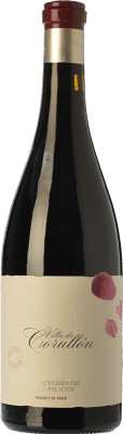 Descendientes J. Palacios Villa de Corullón Mencía — Менсия Bierzo Crianza — Крианса Бутылка Магнум 1,5 L