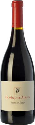 Dominio de Atauta Crianza — Kurze Fassreifung