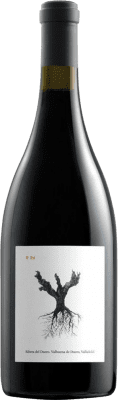 Бесплатная доставка | Красное вино Dominio de Pingus PSI старения D.O. Ribera del Duero Кастилия-Леон Испания Tempranillo 75 cl
