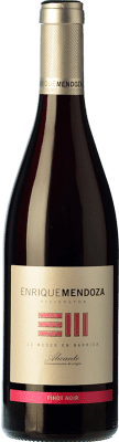 Enrique Mendoza Pinot Noir — Spätburgunder Alicante 75 cl