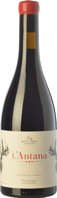 Esteve i Gibert L'Antana Crianza — Aged