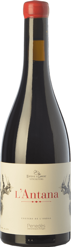 18,95 € Free Shipping | Red wine Esteve i Gibert L'Antana Crianza D.O. Penedès Catalonia Spain Merlot Bottle 75 cl