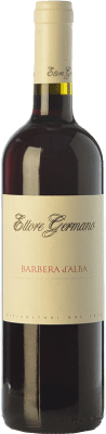 Ettore Germano Barbera Barbera d'Alba 75 cl