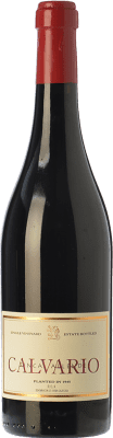 Allende Calvario Crianza — クリアンサ