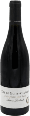 Antoine Lienhardt Les Plantes au Bois Pinot Noir — Пино Нуар Côte de Nuits Villages Eco — Эко Био Органический 75 cl