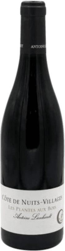 送料無料 | 赤ワイン Antoine Lienhardt Les Plantes au Bois A.O.C. Côte de Nuits ブルゴーニュ フランス Pinot Black 有機 75 cl