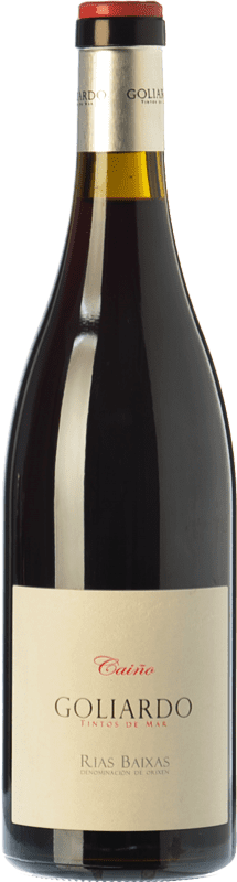 51,95 € 免费送货 | 红葡萄酒 Forjas del Salnés Goliardo Caiño Crianza — 陈酿 D.O. Rías Baixas