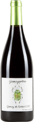 Antoine Lienhardt Optère Gamay Coteaux-Bourguignons 75 cl