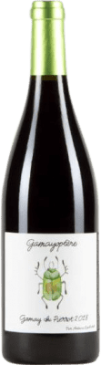 Antoine Lienhardt Optère Gamay Coteaux-Bourguignons Eco — Biologique 75 cl