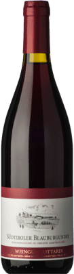 Gottardi Mazzon Pinot Noir Alto Adige 75 cl