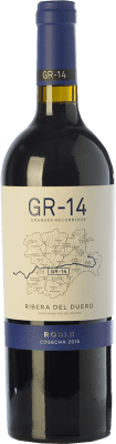 Gran del Siurana GR14 Tempranillo Ribera del Duero Roble 75 cl