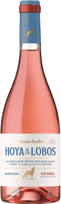 Gran Feudo Edición Limitada Las Lías Navarra 75 cl