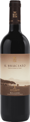 Guado al Tasso Il Bruciato Bolgheri 75 cl
