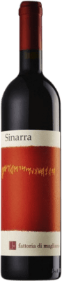 Fattoria di Magliano Sinarra Sangiovese Maremma Toscana Ökologisch 75 cl