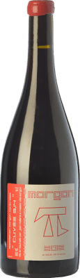 Jean Foillard 3.14 Gamay — Гаме Morgon молодое 75 cl