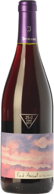 Jermann Red Angel Spätburgunder Friuli-Venezia Giulia 75 cl