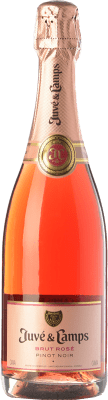 Juvé y Camps Rosé Pinot Black 香槟 Cava 年轻的 75 cl
