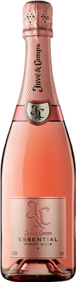 Juvé y Camps Essential Pinot Noir Brut — Bruto Cava Rosé Jovem 75 cl