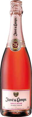 Juvé y Camps Brut — Herb Rosé Jung