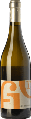 La Bollidora Flor de Garnatxa Garnacha — 歌海娜 Terra Alta Crianza — 陈酿 75 cl