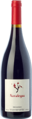 Lobecasope Navalegua Grenache 若い 75 cl