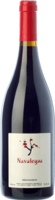 Lobecasope Navalegua Grenache Jung 75 cl