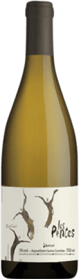 Clos de L'Ecotard Les Pentes Chenin White Saumur-Champigny 75 cl