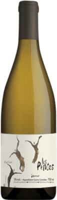 Clos de L'Ecotard Les Pentes Chenin White Saumur-Champigny Органический 75 cl