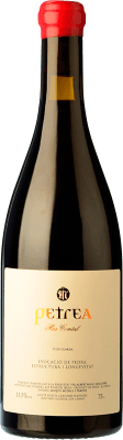 Mas Comtal Petrea Merlot Penedès старения 75 cl