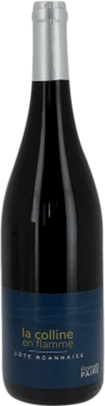 Envio grátis | Vinho tinto Domaine des Pothiers La Colline en Flamme A.O.C. Côte Roannaise Loire França Gamay Biológico 75 cl