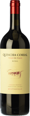 Mustiguillo Quincha Corral Crianza — Kurze Fassreifung