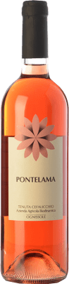 Ognissole Pontelama Nero di Troia Castel del Monte Ökologisch 75 cl