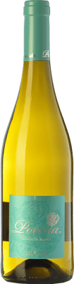 Padró Poesía Grenache White Catalunya Young 75 cl