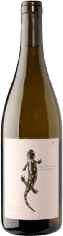 送料無料 | 白ワイン Andreas Tscheppe Salamander Estiria オーストリア Chardonnay 75 cl