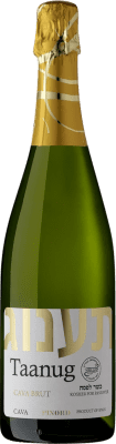 Pinord Taanug 香槟 Cava 75 cl