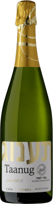 Pinord Taanug Brut — Bruto Cava 75 cl