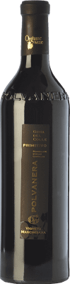 Polvanera 14 Primitivo Gioia del Colle Ökologisch 75 cl