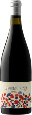 Portal del Montsant Bruberry Montsant 年轻的 75 cl