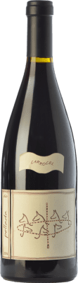 Quinta da Pellada Carrocel 高齢者