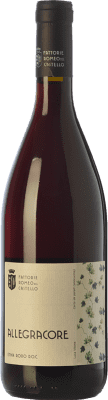 Romeo del Castello Allegracore Nerello Mascalese Etna 75 cl