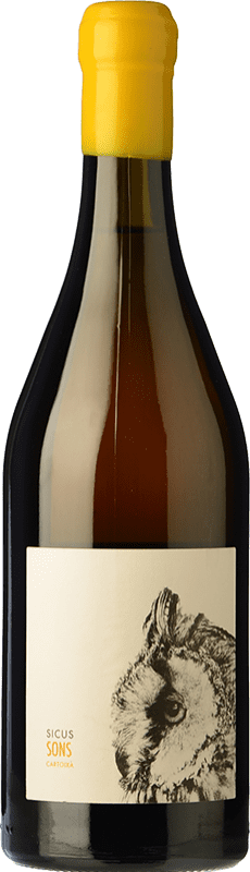 44,95 € | White wine Sicus Sons D.O. Penedès Catalonia Spain Xarel·lo Bottle 75 cl