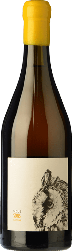 Envio grátis | Vinho branco Sicus Sons D.O. Penedès Catalunha Espanha Xarel·lo 75 cl