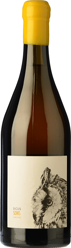 Envio grátis | Vinho Branco Sicus Sons D.O. Penedès Catalunha Espanha Xarel·lo Eco — Biológico 75 cl