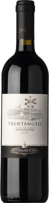 Tormaresca Rosso Trentangeli Castel del Monte 75 cl