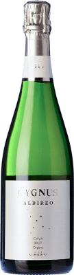 U Més U Cygnus Albireo Brut