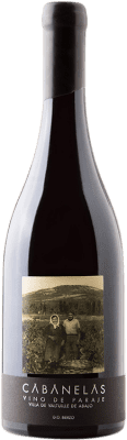 Envio grátis | Vinho tinto Valtuille Cabanelas Crianza D.O. Bierzo Castela e Leão Espanha Mencía 75 cl