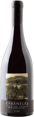 免费送货 | 红葡萄酒 Valtuille Cabanelas Crianza — 陈酿 D.O. Bierzo 卡斯蒂利亚莱昂 西班牙 Mencía — 门西亚 75 cl