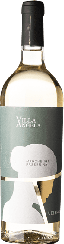 13,95 € | White wine Velenosi Villa Angela I.G.T. Marche Marche Italy Passerina Bottle 75 cl